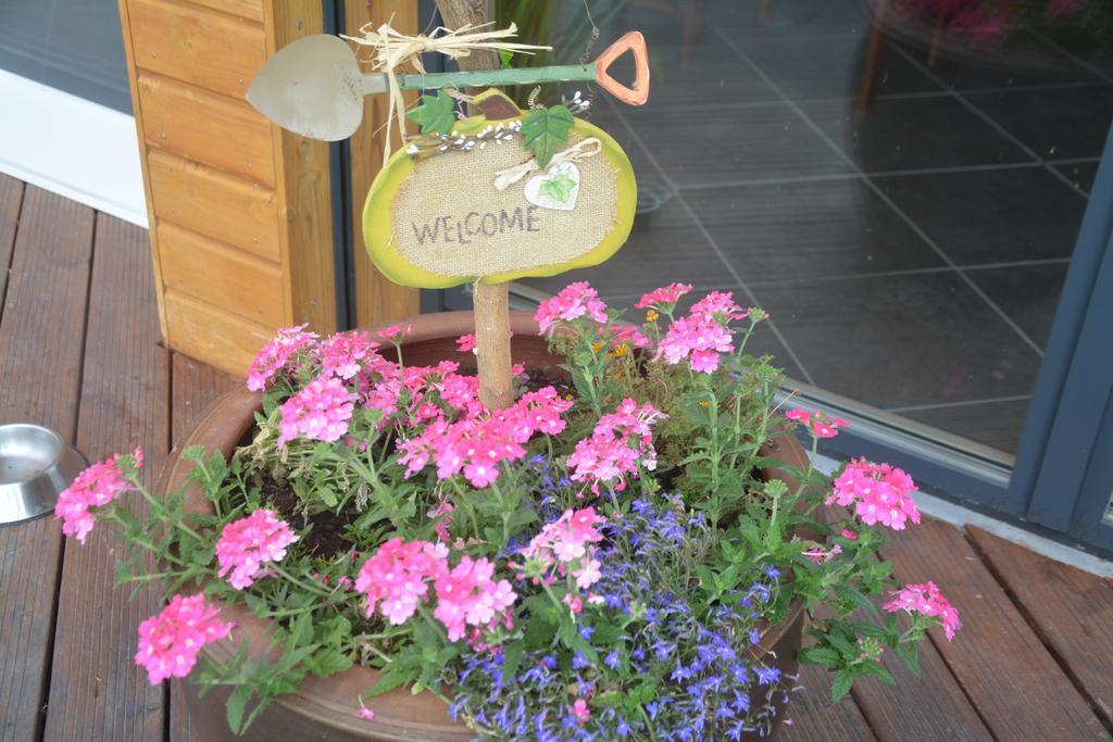 Bed and Breakfast Les Condamines Antoingt Esterno foto